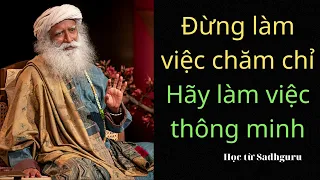 Tại sao không làm việc chăm chỉ lại mang đến cho tôi thành công? - Học từ Sadhguru #9