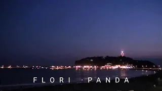 上田正樹☆わがまま '92 / Flori Panda