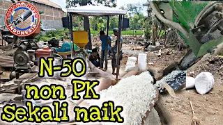 N50 Sekali Naik || selep padi