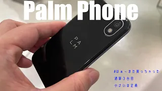 #380 PalmPhone また買っちゃった