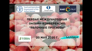 Яблочные прогнозы - международнай онлайн конференция EastFruit о перспективах цен на яблоко в 20/21