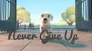 NEVER GIVE UP ❌ FOCUS ON YOUR GOAL | HEART TOUCHING MUSIC | RINO STATUS |PIP DOG SHORT STATUS