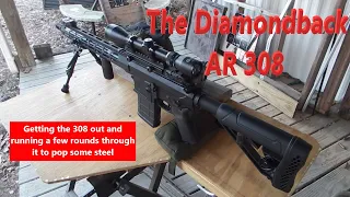 The Diamondback AR 308