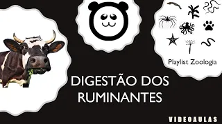 Digestão dos Ruminantes