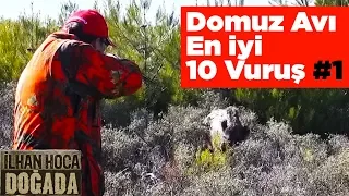 Domuz Avı En İyi 10 Vuruş #1 İlhan Hoca Doğada Yaban Tv WildBoar Hunting