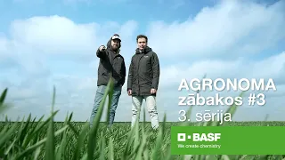 Agronoma Zābakos #3 - 3. sērija | BASF