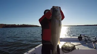 kerr lake Striper fishing