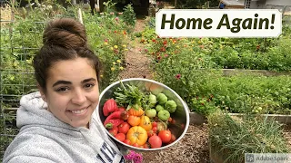 What Will I find After Being Gone?? Full August Garden Tour!