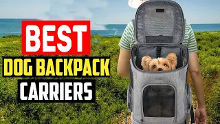 ✅ Top 5 Best Dog Backpack Carriers 2023