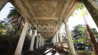 Interior of Old Abandoned Building With Palm Tree