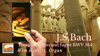 The most Virtuosic Organ Pedal Solo written in history? J.S.Bach Toccata, adagio and fugue, BWV 564