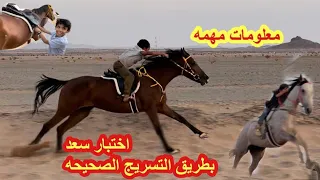 تقييم وإختبار سعد في أساسيات الخيل✅🐎||فتح سعد وأبو سعد👏🏻