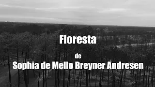 Georden | A nossa Floresta - "Floresta"