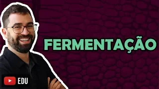 Fermentação - Aula 25 - Módulo I: Biologia Celular | Prof. Gui