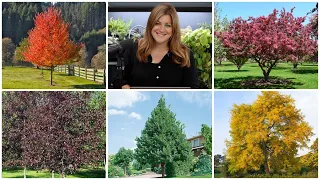 5 Trees I Highly Recommend! 🌿 🌳 // Garden Answer