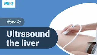 How to ultrasound the liver