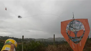 Catando os Pipões Voados No meio da Mata com uma  Lata de Leite Ninho -  Veio maior Chuvão