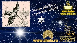 Звезда Денёб и созвездие Лебедя