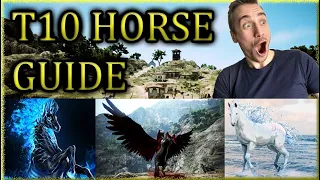 Black Desert T10 Mythical Horse Guide
