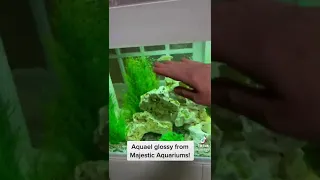 Aquael Glossy Aquarium from Majestic Aquariums