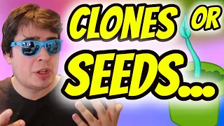 CLONES VS SEEDS.  THIS IS WHAT I THINK...