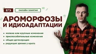 Ароморфозы и  идиоадаптации | ЕГЭ Биология | Даниил Дарвин