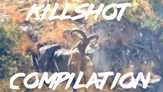 Trophy Quest Outdoors - Aoudad Kill Shot Compilation West Texas 2022