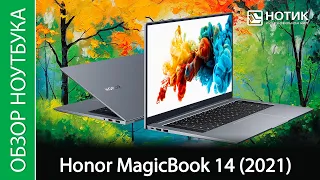 Обзор ноутбука Honor MagicBook 14 (2021) - приятное обновление