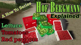 FS19 Hof Bergmann Explained 🥗 Lettuce 🍅 Tomatoes 🌶 Red Peppers   A How To Series