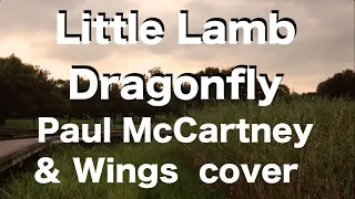 [DTM / Remake] Little Lamb Dragonfly - Paul McCartney & Wings - COVER