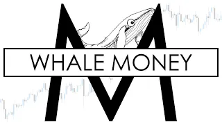 MOVE with the INSTITUTIONS | what the WHALES don't tell YOU | Trading Strategy and Psychology mentfx