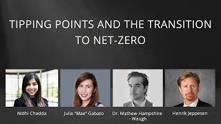 Tipping Points and the Transition to Net Zero
