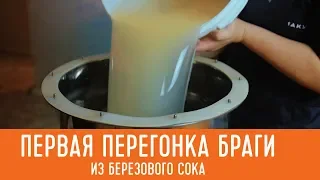 Первая перегонка браги на березовом соке. Самогонный аппарат Смакуй Эксперт