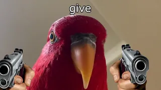 give me the sauce red bird meme