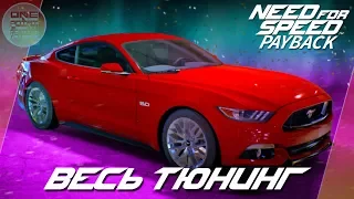 Need For Speed: Payback - Ford Mustang GT - Американская мощь!? / Весь тюнинг