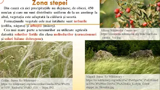 RED Geografia României.  Zona de stepă și silvostepă