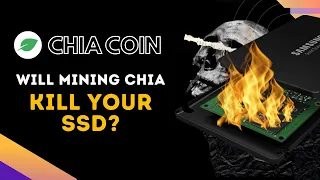 Will Mining Chia Coin Break Your SSD Drive?