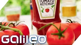 Curry oder Tomate? Das ist der beste Ketchup | Galileo | ProSieben