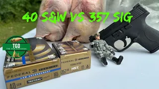 40 S&W Vs 357 Sig Ballistic Chickens! Federal HST for Both Rounds