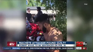 Machete attack verdict