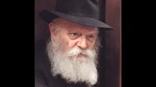 Amazing Story About The Lubavitcher Rebbe Ztl