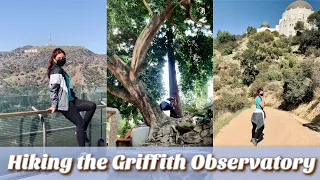WHAT KILLED THE DINOSAURS? Griffith Observatory/Ferndell Trail Hike