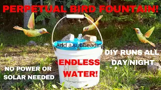 ATTRACT BIRDS to your backyard! DIY Endless water bird fountain, no power/solar. Hummingbird bath.