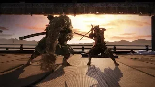 Sekiro All Bosses NG+7 Hard Mode No Damage