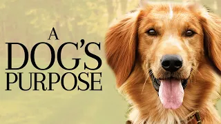 A Dog's Purpose 2017 Movie | Dennis Quaid, Josh Gad, KJ Apa | A Dog's Purpose Movie Full Review