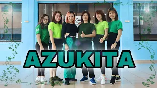 Zumba || Azukita - Steve Aoki, Daddy Yankee, Play-N-Skillz + Elvis Crespo || Zin73