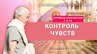 01/12/2023, Шримад-Бхагаватам 7.4.18, Контроль чувств - Чайтанья Чандра Чаран Прабху, Алматы