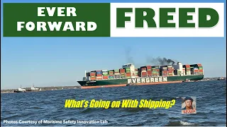 Ever Forward Freed  |  What's Going on With Shipping?