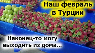 ТЕПЛЫЙ ФЕВРАЛЬ В КУШАДАСЫ. Социализируюсь после болезни.