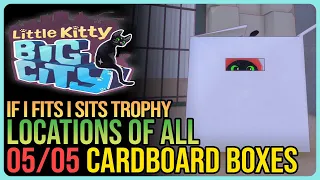 Enjoy 5 Cardboard Boxes – Little Kitty Big City – If I Fits I Sits